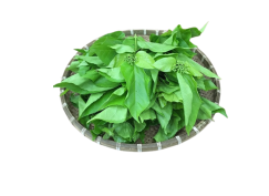 Lá cách lồi 200g