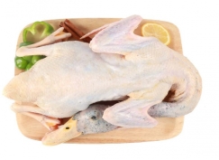 Vịt đồng nguyên con làm sạch