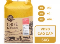 Gạo thơm ST25+ A An túi 5kg (1 Túi)