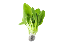 Cải thìa thủy canh 400g (±15%)