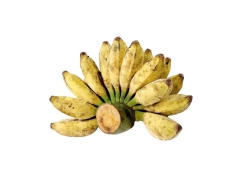 Chuối sáp nghệ Miền Tây