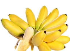 Chuối câu mẳn miền Tây