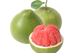 Bưởi da xanh Bến Tre 