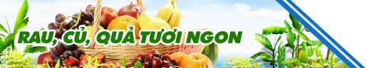 THẾ GIỚI TRÁI CÂY 