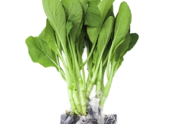 Cải ngồng thủy canh 400g (±15%)