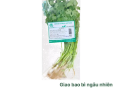 Ngò rí gói 50g (1 Gói)
