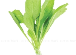 Cải xanh thủy canh 400g  (±15%)