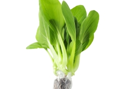 Cải thìa thủy canh 400g (±15%)