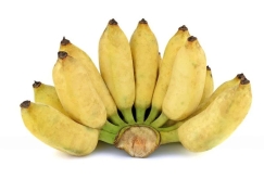 Chuối sứ miền Tây