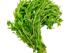 Rau ngổ 400g (±15%)