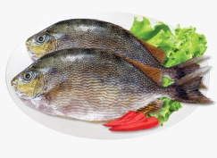 Cá nâu làm sạch