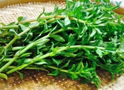 Rau ngổ 400g (±15%)